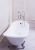 Чугунная ванна Goldman Bristol 170*76*50*55, на "орлиных когтях", в комплекте с сифоном и ножками в Кореновске